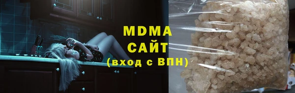 прущие грибы Переславль-Залесский