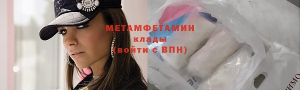 прущие грибы Переславль-Залесский