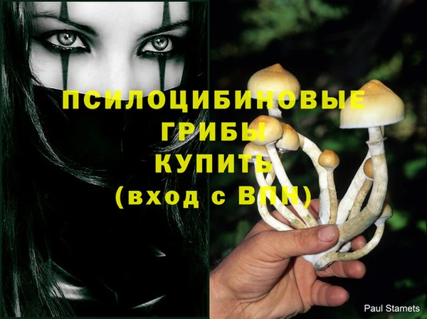 эйфоретик Пестово
